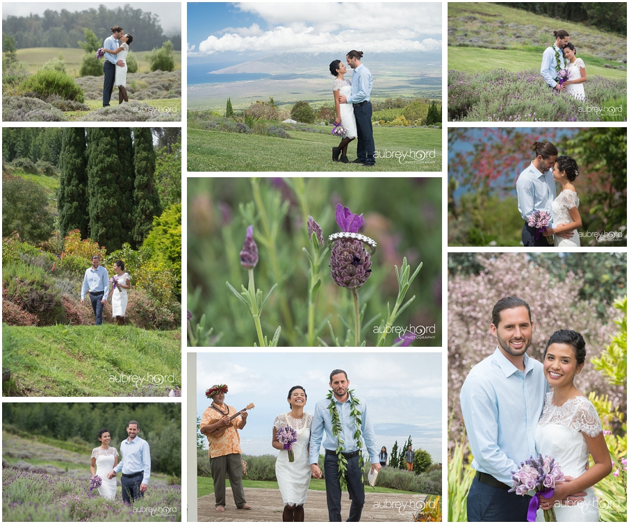 Romantic Maui Elopement at Alii Kula Lavender Farm