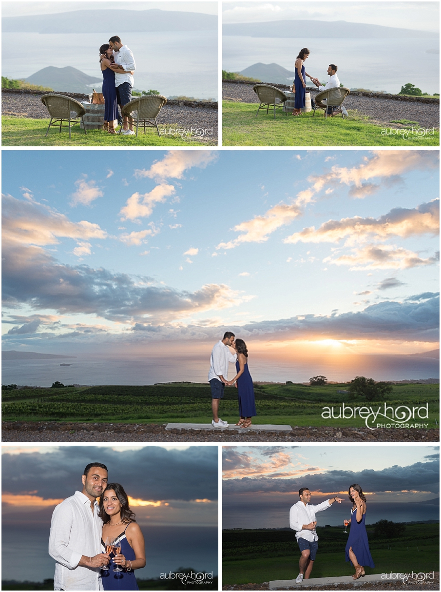 Romantic Maui Engagement in a Vineyard
