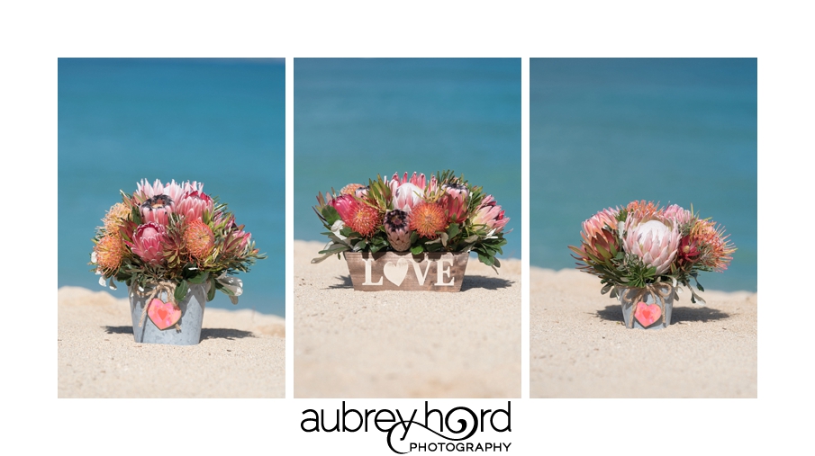 Maui Commercial Photographer Aubrey Hord Valentines Baskets for Proteas of Hawaii